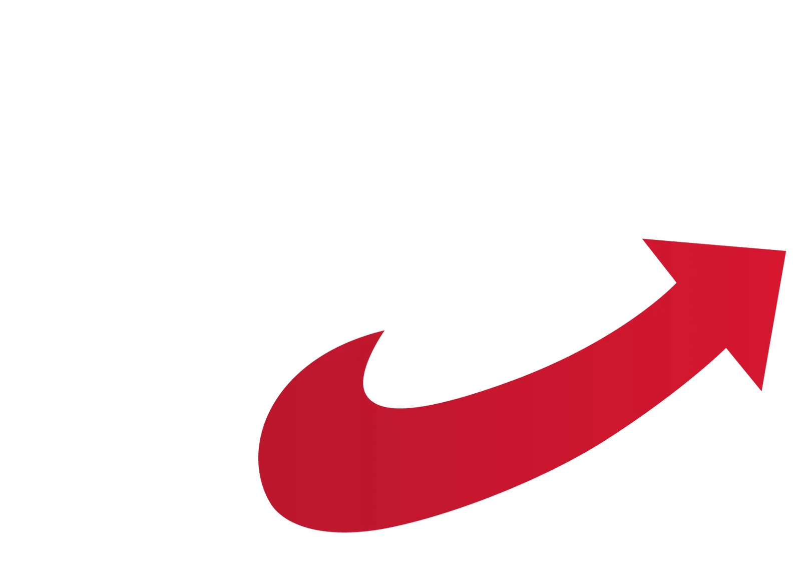 Bundesprogramm der AfD